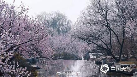 春天来了！北京已于3月22日正式入春，较常年平均入春时间偏早4天