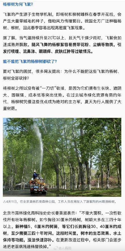 为什么不能把杨柳树都砍了?官方回应 绿化主力军不可轻易替换
