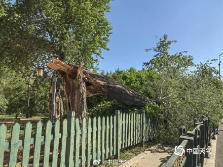 东北的风为何这么强这么持久 冷涡与气旋共舞