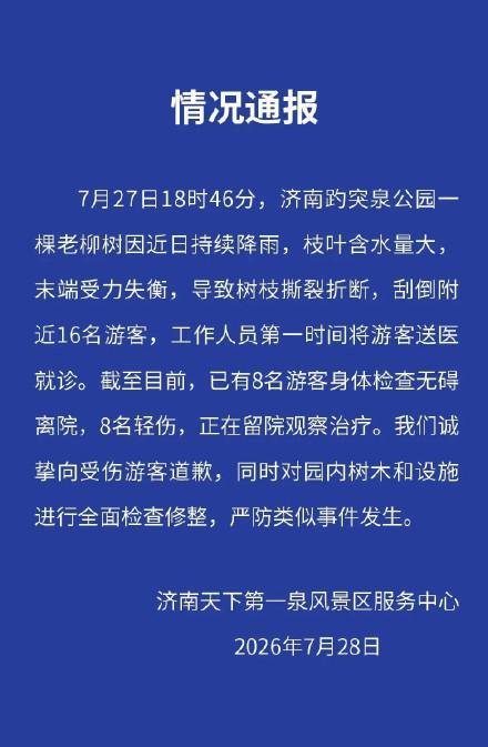 趵突泉老柳树断裂致8人轻伤景区致歉