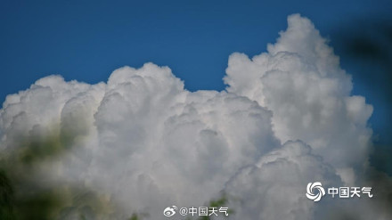 北京浓积云成今日份天空“显眼包”