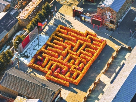 让秋收的喜悦在冬日延续……