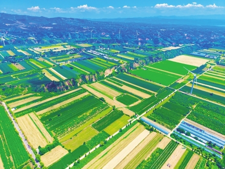平陆县：绘就生态宜居、粮丰景美的壮美画卷