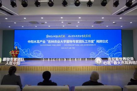 科技赋能特色产业 纪录见证振兴实践 ——中阳聚力推动木耳省级专业镇高质量发展