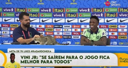 小猫乱入巴西队世界杯记者会 巴西官员做法引发众怒