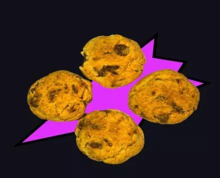 识破伪装 远离毒品