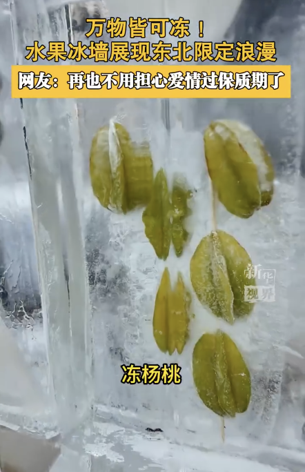 原来东北除了玫瑰冰瀑还有水果冰墙