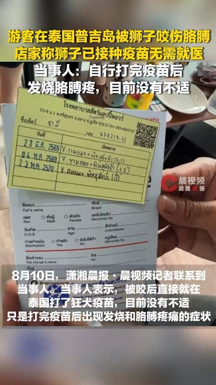 中国游客在普吉岛咖啡店被狮子咬伤 自行接种疫苗引发关注