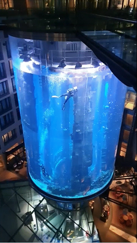 世界最大独立圆柱体水族馆爆裂 100万升水夹杂着碎片涌出街道