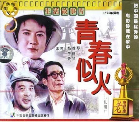 何晴前夫是許亞軍 二人育有一子 昔日恩愛夫妻今何在