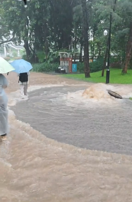 深圳超1300座公园因暴雨关闭 安全考量暂闭园