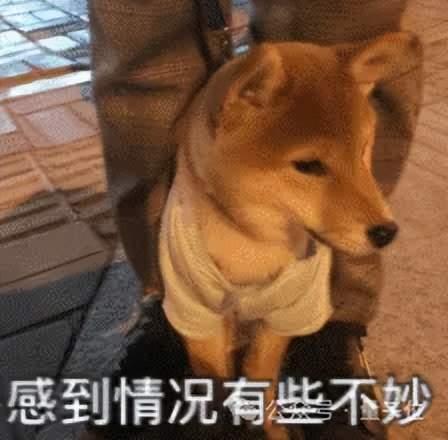 奧特曼承認(rèn)谷歌威脅到OpenAI 技術(shù)領(lǐng)先優(yōu)勢(shì)縮小