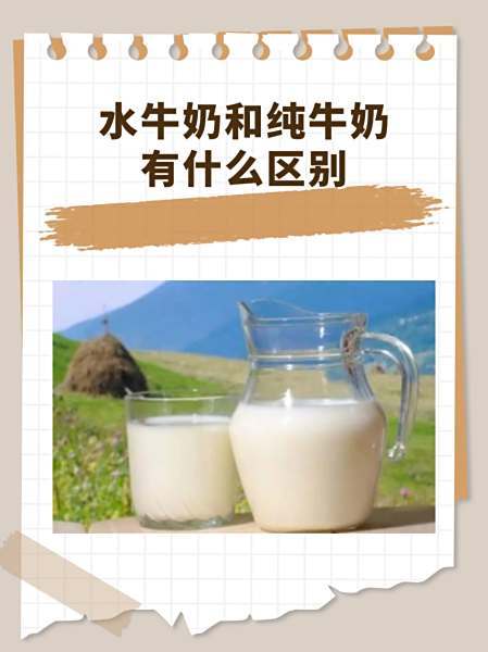 水牛奶售价约是普通纯牛奶2到3倍 20款水牛乳产品无一款原料达100%