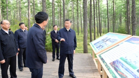Xi Jinping bekräftigt Entfaltung des Saihanba-Geistes