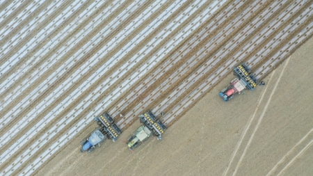 Bericht: US-Sanktionen in Zusammenhang mit Xinjiang untergraben globale Baumwollindustriekette