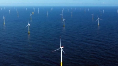 Windpark Meerwind erreicht monatlichen Stromerzeugungsrekord
