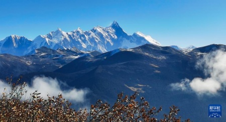 Chinesische Wissenschaftler warnen vor weiterer Verschiebung der Baumgrenzen im Ost-Himalaya