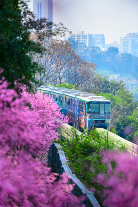 上天入地穿花海，这里的列车不一般！