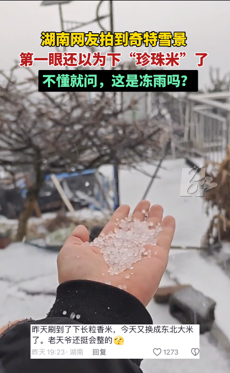 起猛了看湖南下雪还以为天上掉大米