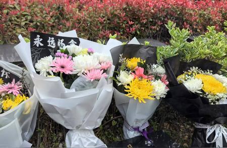 最新！孙女一家被撞身亡 爷爷悲伤过度离世