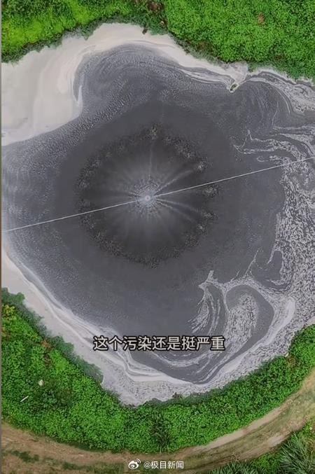 廣西深山一水塘惡臭變醬油色 疑似養(yǎng)豬場污染所致