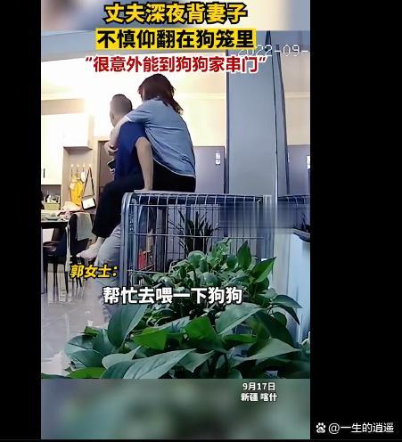 丈夫深夜背妻子双双仰翻进狗笼 狗被吓一跳