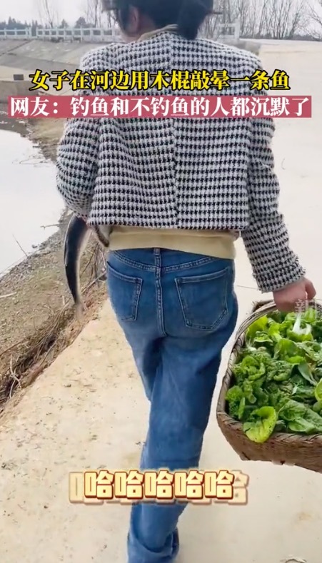 女子河边用木棍敲晕鱼