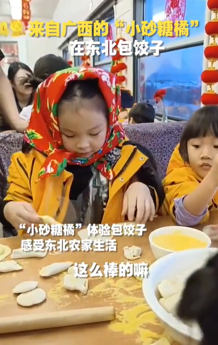 小砂糖橘在东北包饺子被一顿猛夸 