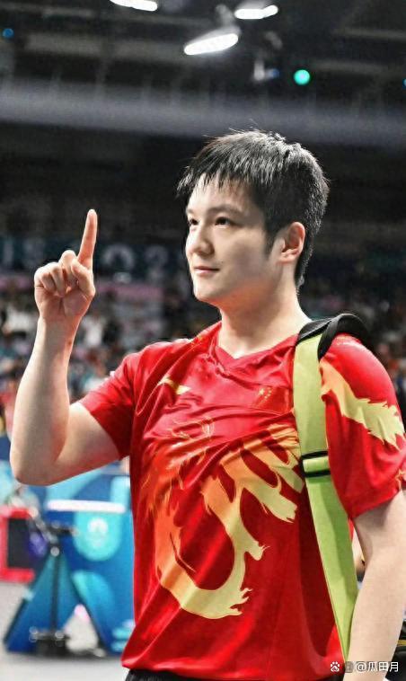 樊振东加盟德甲的故事