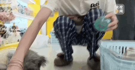 风扇帽全球爆火 义乌缝纫机踩到冒烟 订单排至8月
