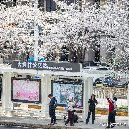 武汉坐公交地铁可抵房贷 绿色出行赚福利