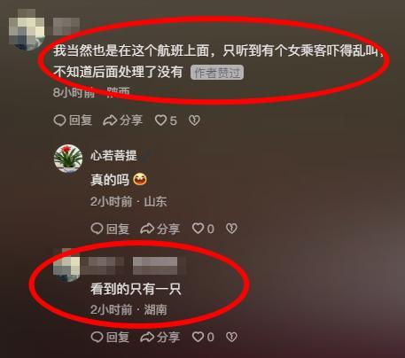 飞机上惊现老鼠窜来窜去？旅客讲述细节并质疑有安全隐患