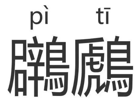 男子撿到保護(hù)動物鸊鷉送警救助