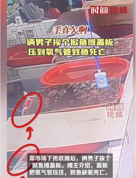 俩男子掀鱼摊盖板致鱼缺氧死亡 摊主希望对方承担