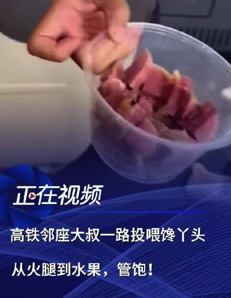 饞哭網(wǎng)友！高鐵鄰座大叔一路投喂饞丫頭