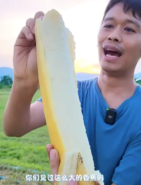 香蕉越大香蕉皮越大 網(wǎng)友：我經(jīng)常這樣…做夢(mèng)想的超有哲理的句子
