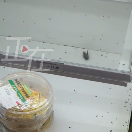 711门店回应柜台内有大量虫子