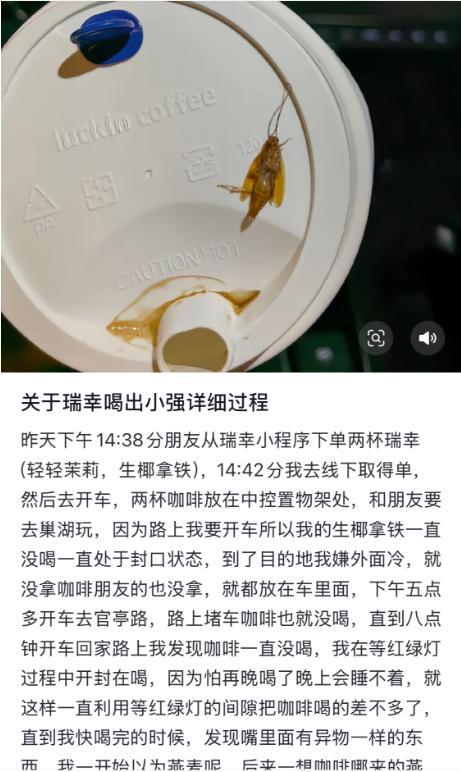 网友称在瑞幸咖啡喝出蟑螂 事件仍在处理中