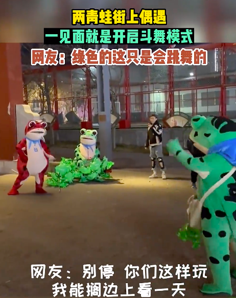 网友偶遇两只“青蛙”斗舞