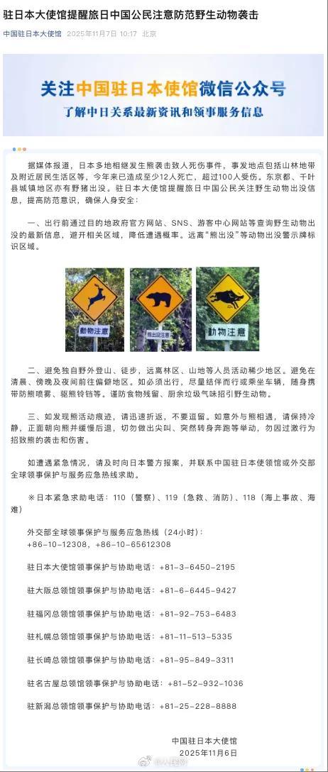 日本发熊难财？猎熊旅游狂捞金