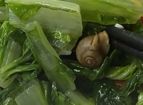 女子吃快餐在青菜里吃出蜗牛，老板：没洗干净