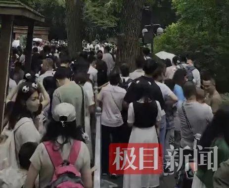大熊貓“頂流”花花人氣爆棚 排隊兩小時只為一睹真容