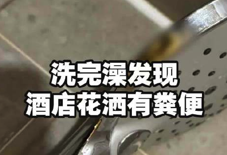 澡后发现花洒有粪便住客拒收赔偿：酒店说要开除保洁让她赔，心里过意不去