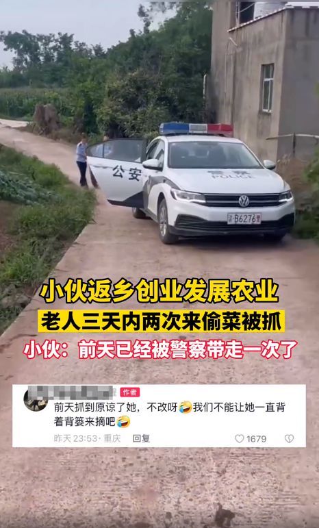 小伙返乡创业被老人多次偷菜 真的无法可治吗