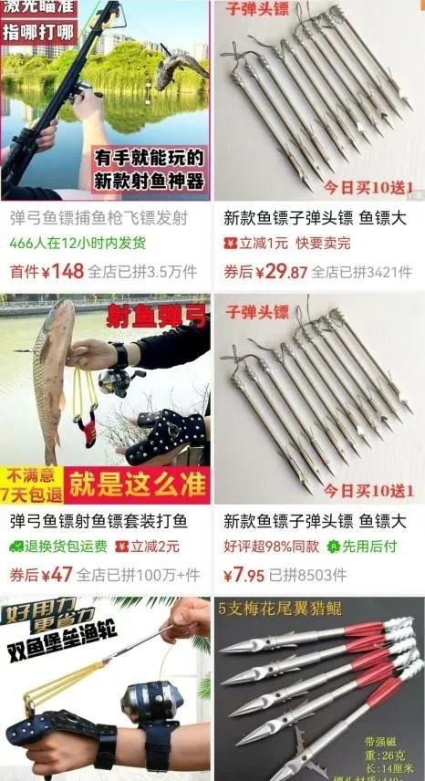 被射穿脸的狸花猫获救了 坚强生存引发关注