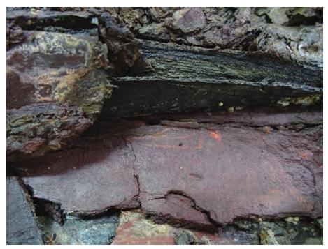 海昏侯墓出土中国最古老的“锁绣”