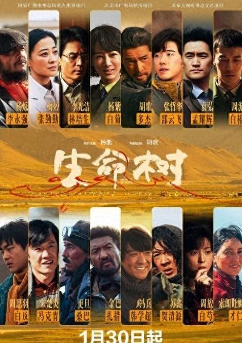 人命树收视率第二集就断崖跌