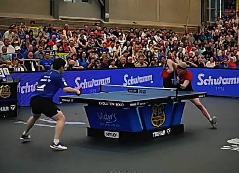 吴敬平：樊振东首秀失利不是坏事 这是小胖新的体验