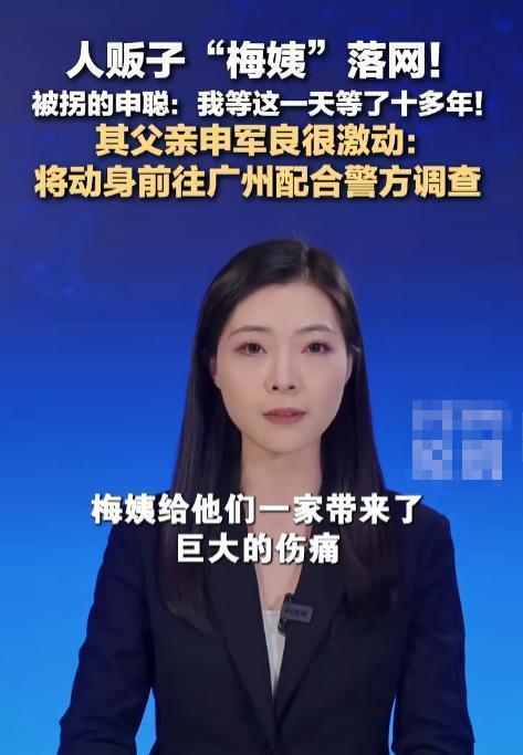 央视公布梅姨案细节 潜逃17年终落网