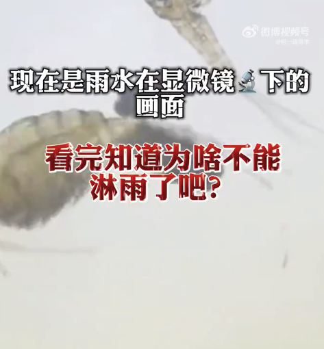 怪不得淋雨后要洗澡换衣服